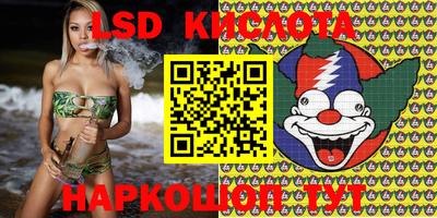 гашик Гатчина