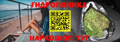 кокс Гай