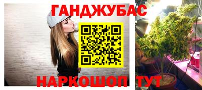 гашик Гатчина