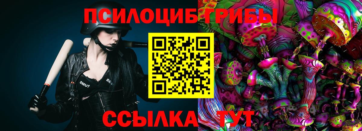 Галлюциногенные грибы Psilocybe Миллерово